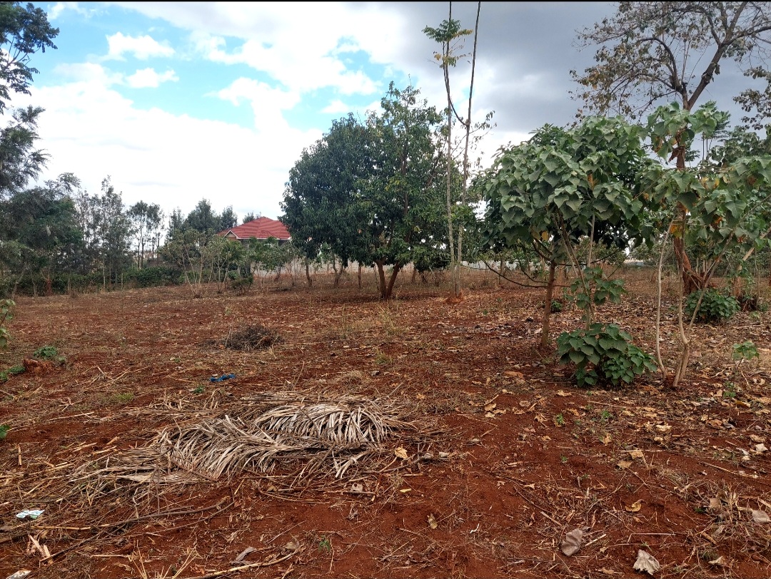 Prime 0.5 acre in Runda Estate