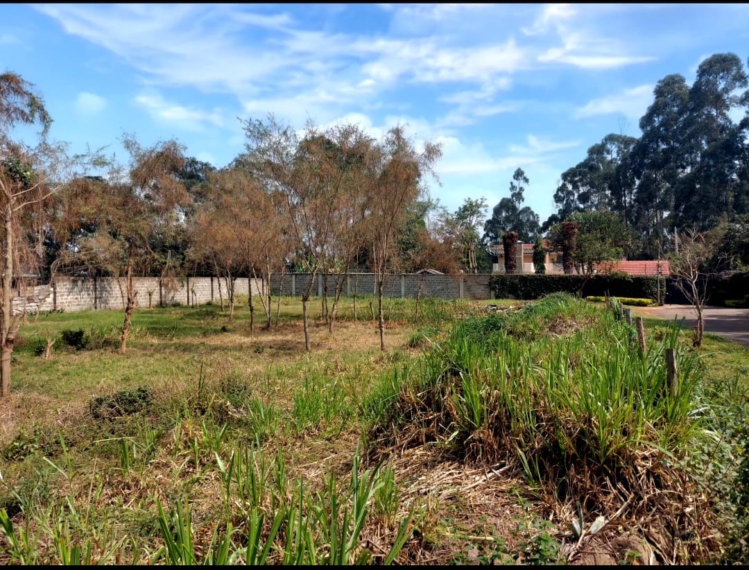 0.5 acre in Garden Estate